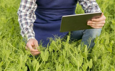 Maximiza tu productividad agrícola con nuestros servicios de trabajos agrícolas y forestales